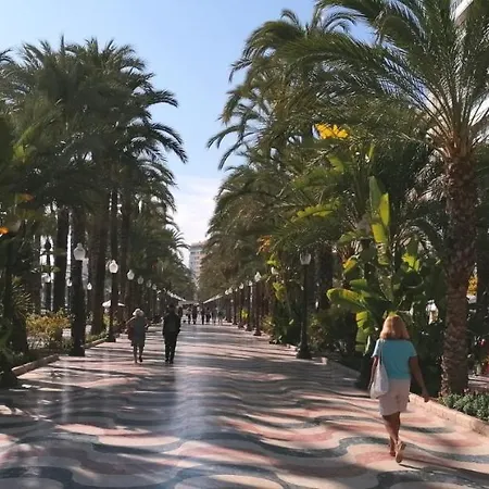 Apartman Piso Casco Historico Alicante